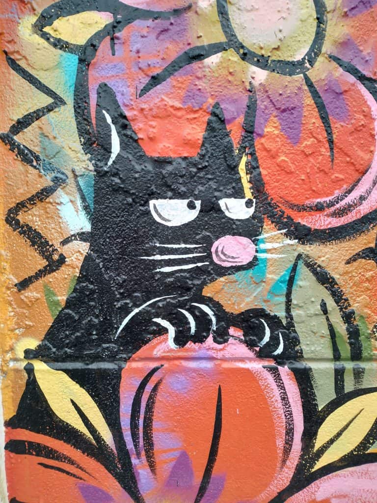 Boon art Grumpy cat mural