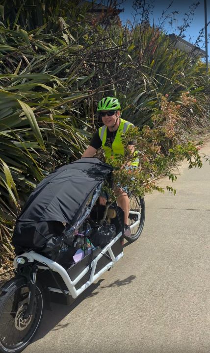 A picture of Simon C riding a cargo bike with a tree